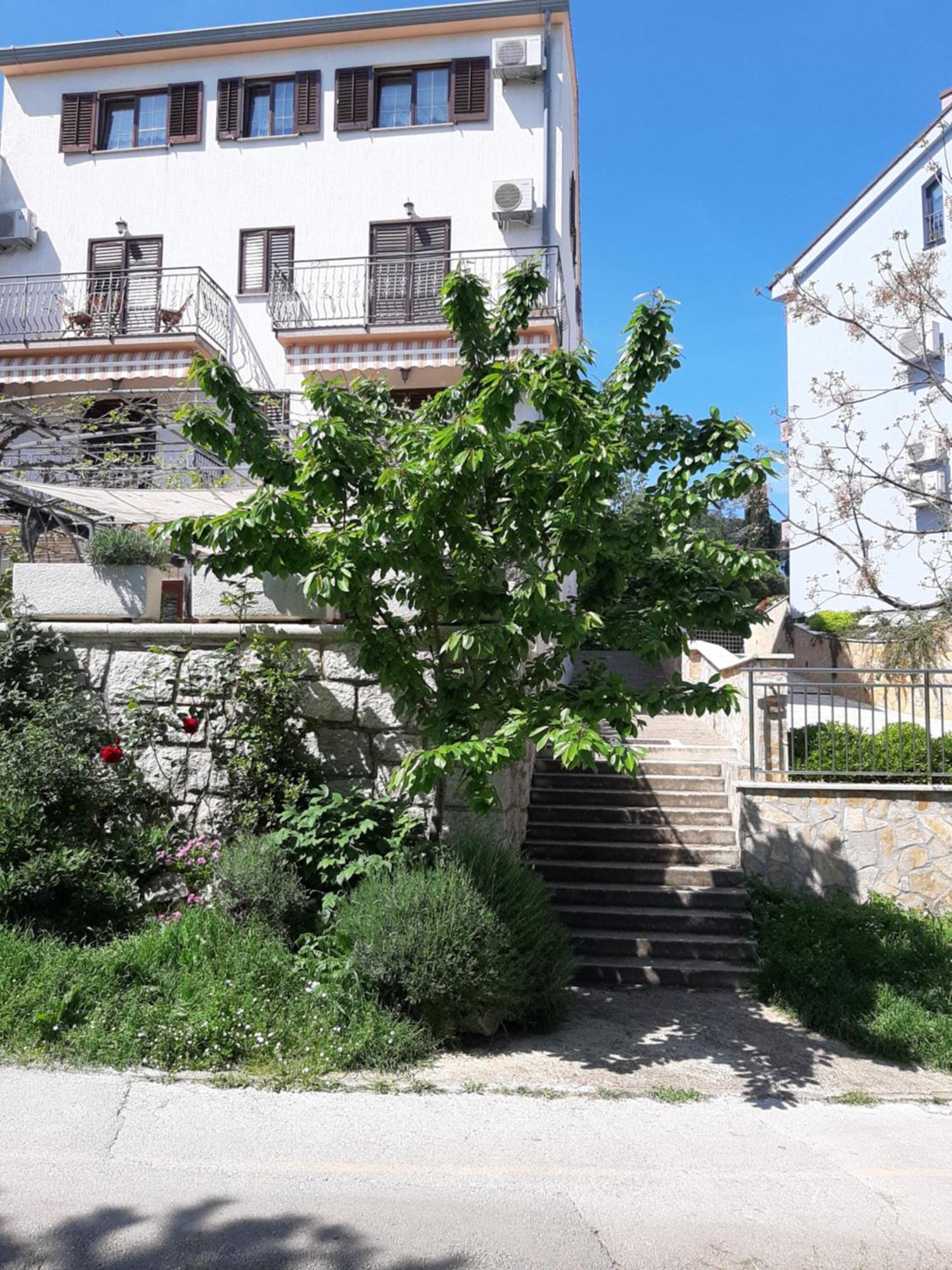 Adria Vrsar Apartment ภายนอก รูปภาพ